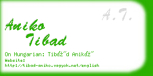 aniko tibad business card